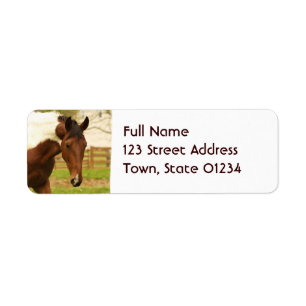 Etiqueta Roaming Paint Horse Mailing Labs