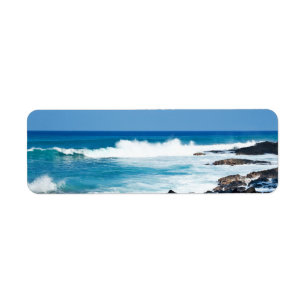 Etiqueta Roca hawaiana de lava y océano coral - Hawaii