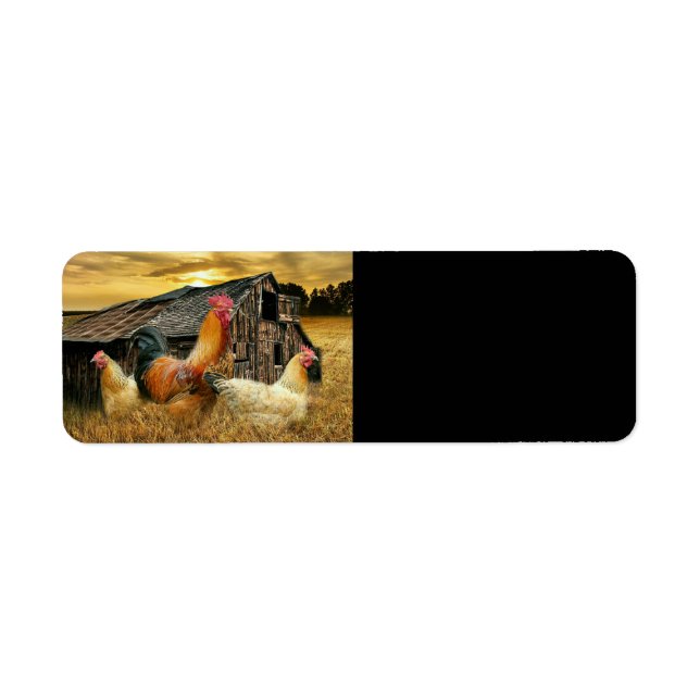 Etiqueta Rooster Hens Rustic Barn Coop (Frente)