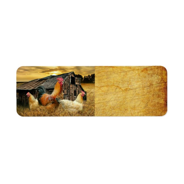 Etiqueta Rooster Hens Rustic Barn Coop (Frente)