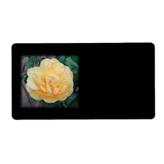 Etiqueta Rosa amarilla, de fondo negro.