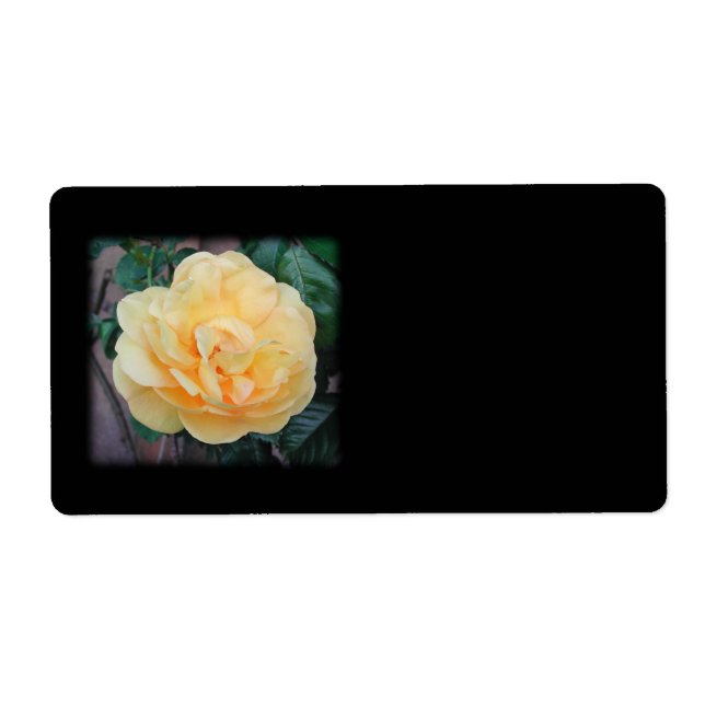 Etiqueta Rosa amarilla, de fondo negro. (Frente)