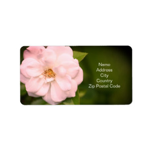 Etiqueta rosa de bonito en blanco