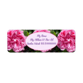 Etiqueta Rosa de col rosa Vintage Flor Flor Floral Retorno