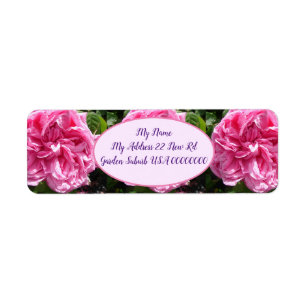 Etiqueta Rosa de col rosa Vintage Flor Flor Floral Retorno