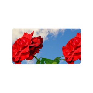 Etiqueta Rosa Don Juan con cielo azul