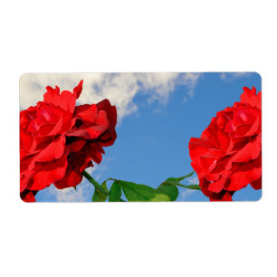 Etiqueta Rosa Don Juan con cielo azul