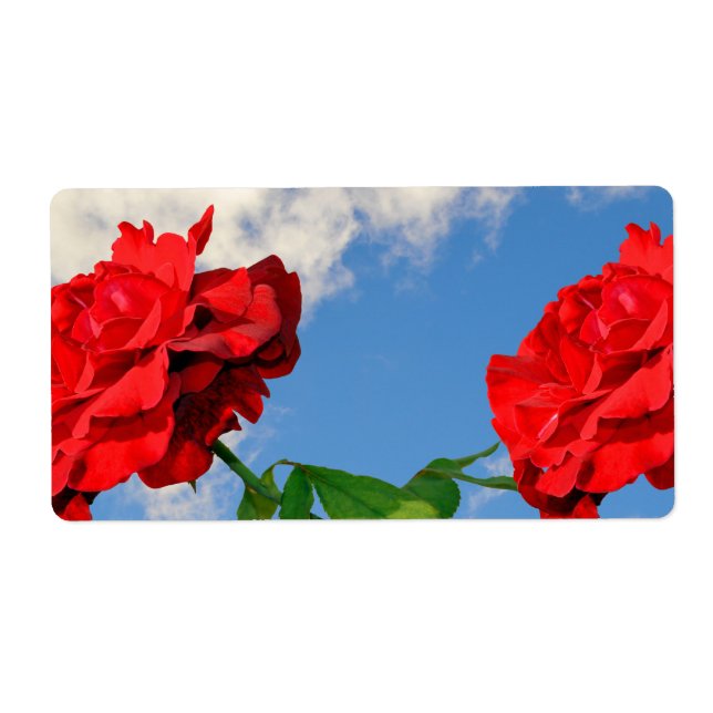 Etiqueta Rosa Don Juan con cielo azul (Frente)