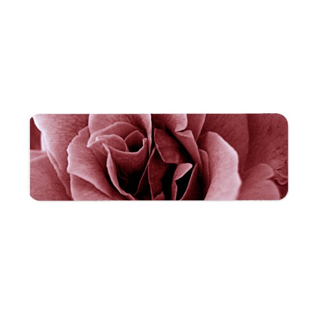 Etiqueta Rosa Flor Monocroma de Cerca (Frente)
