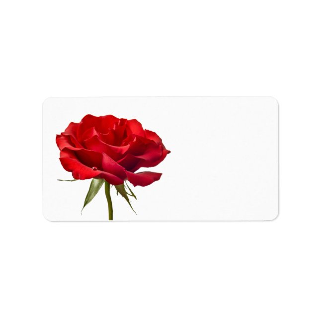 Etiqueta Rosa roja en blanco: plantilla de Rosas personaliz (Frente)