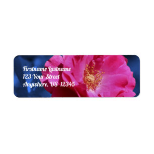 Etiqueta Rosa Roja En Dirección De Flor De Tinta Azul