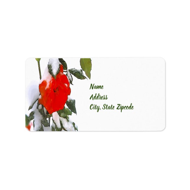 Etiqueta Rosa roja en nieve (Frente)