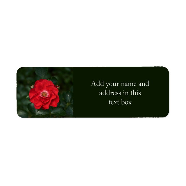 Etiqueta Rosa roja P6568 (Frente)