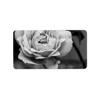 Etiqueta Rosa romántico blanco y negro
