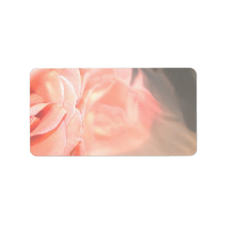 Etiqueta Rosa rosa claro en plata