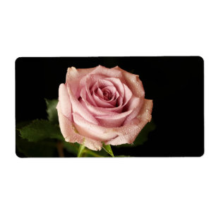 Etiqueta rosa rosa rosa hermoso