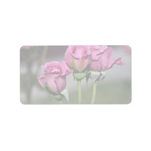 Etiqueta Rosas de Floribunda 'Angel Face'