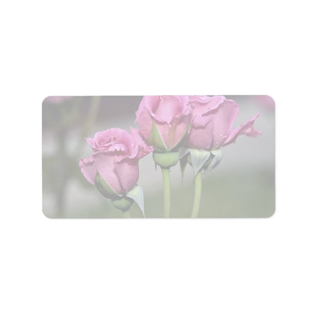 Etiqueta Rosas de Floribunda 'Angel Face' (Frente)