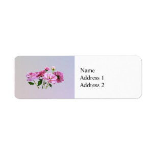 Etiqueta Rosas en miniatura rosa