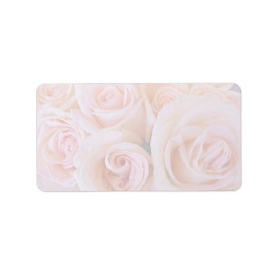 Etiqueta Rosas rosados