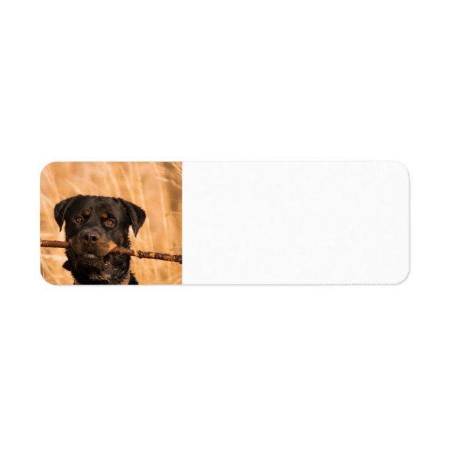 Etiqueta Rottweiler Con Palo (Frente)