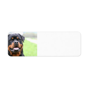 Etiqueta Rottweiler.png