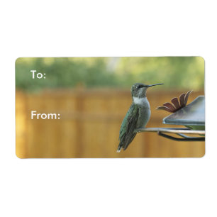 Etiqueta Ruby Throed Hummingbird
