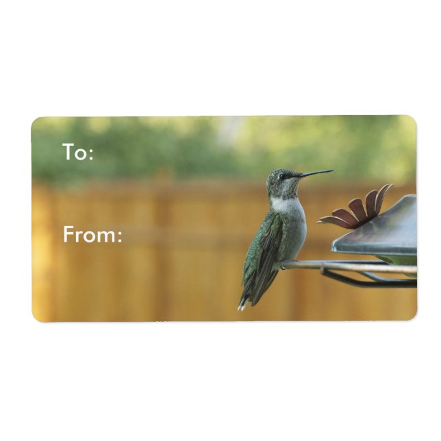 Etiqueta Ruby Throed Hummingbird (Frente)