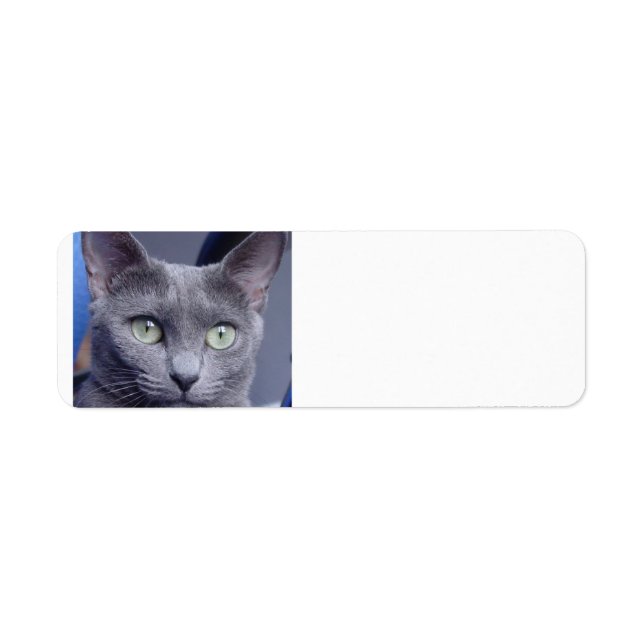 Etiqueta russian-blue.png (Frente)