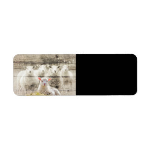 Etiqueta Rustic Sheep Baby Lamb Burlap