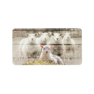 Etiqueta Rustic Sheep Baby Lamb Burlap