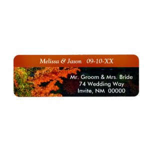 Etiqueta Rústica novia Groom Fall Foliage Wedding Invitan a