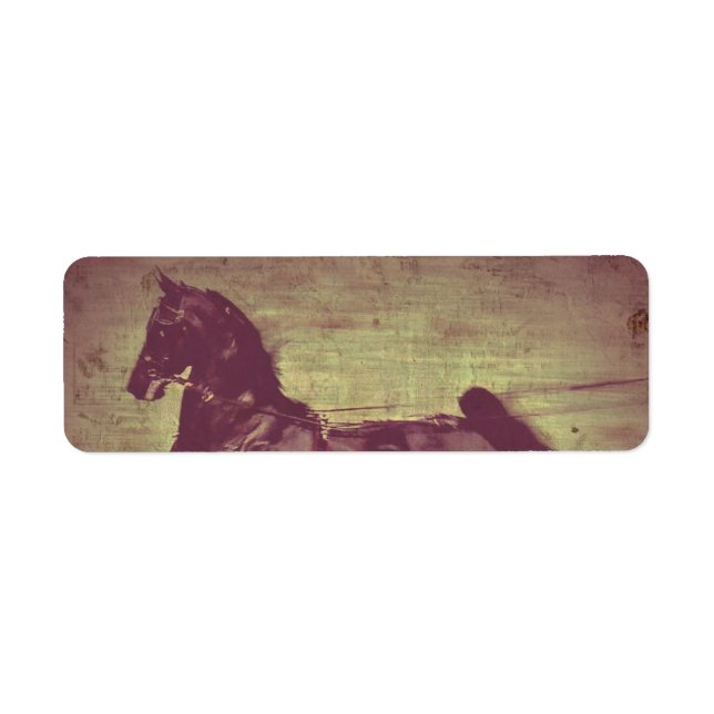 Etiqueta Saddlebred Song (Frente)
