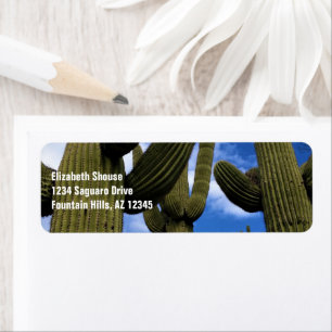 Etiqueta Saguaro Cactus Trio / Blue Sky & Clouds / Arizona