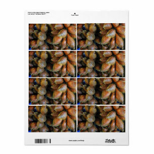 Etiqueta Salak [Fruta de la serpiente]