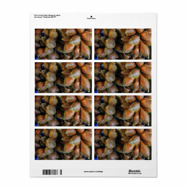 Etiqueta Salak [Fruta de la serpiente] (Hoja Entera)