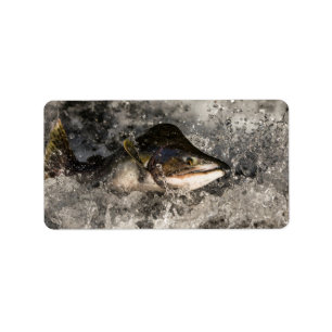 Etiqueta Saltando Salmon