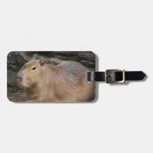 Etiqueta salvaje del equipaje del Capybara