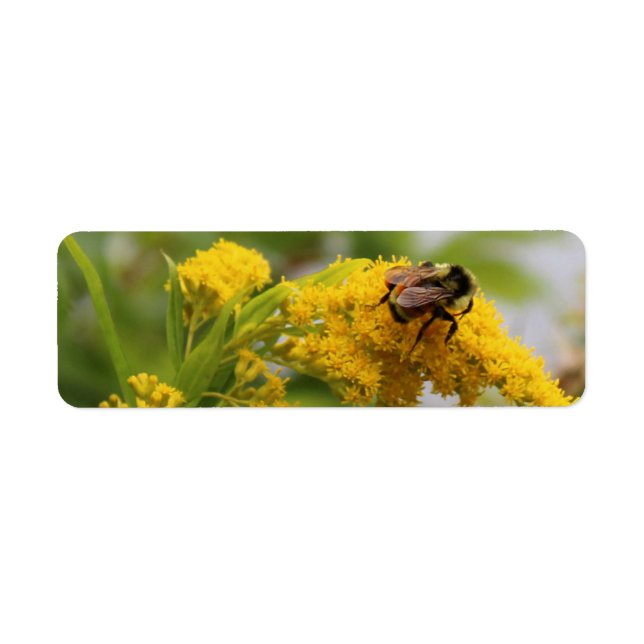 Etiqueta Salvar a las abejas (Frente)