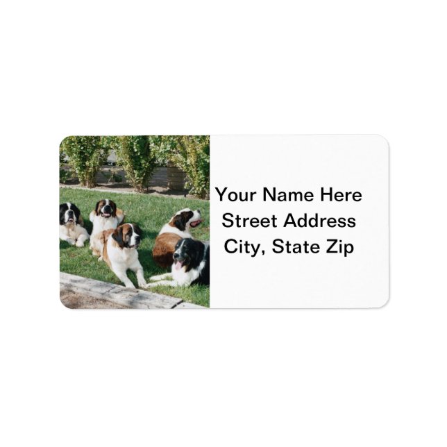 Etiqueta San Bernardo en el jardín (Frente)