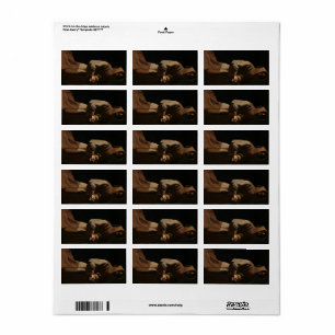 Etiqueta San Francisco en meditación por Francisco Zurbaran