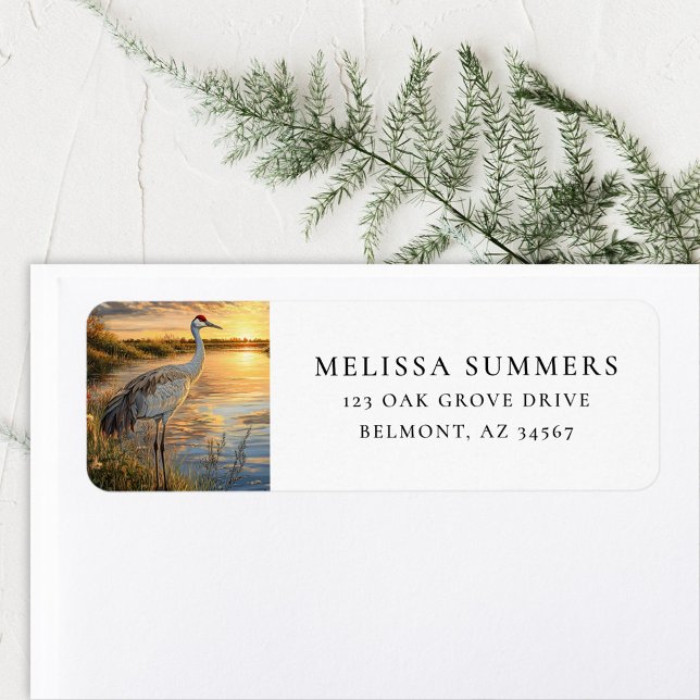 Etiqueta Sandhill Crane Florida Wetlands (Subido por el creador)