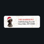 Etiqueta Santa Hat German Shorthair Pointer Return Address<br><div class="desc">The left side of these fun Holiday return address labels features an image of a German Shorthair Pointer Dog wearing a red and white Santa Claus hat. Your custom text is in red and black at the right. A subtle gold confetti background gives a bit of Christmas sparkle.</div>