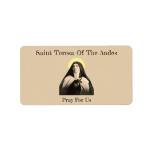 ETIQUETA SANTA TERESA DE LOS ANDES