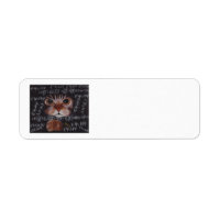 SCHRÖDINGER CAT