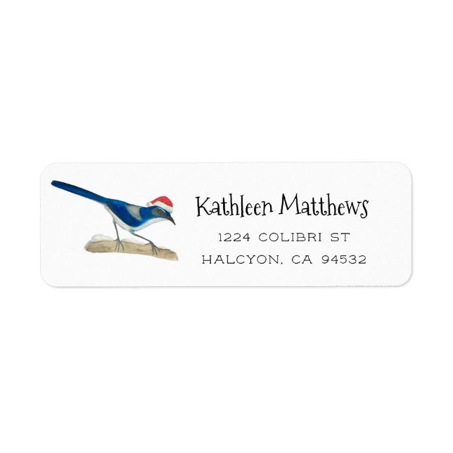 Etiqueta Scrub Jay Label (Frente)