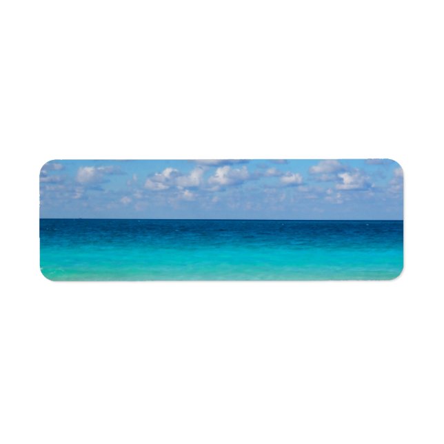 Etiqueta seaaa (Frente)