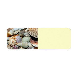 Etiqueta seashells