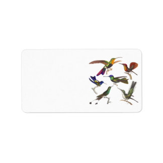 Etiqueta Seis hermosos Hummingbirds por la lección de René