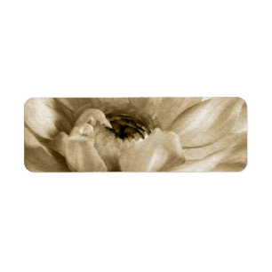 Etiqueta Sepia blanca y fondo poner crema de la dalia